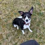 Ersteller:in Anna-Lena Profilbild