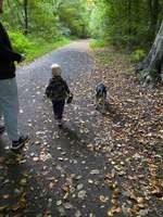 Hundeauslaufgebiet-Wittringer Wald-Bild