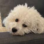 Ersteller:in Gabriela Profilbild