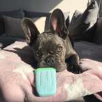 Ersteller:in Darleen Profilbild