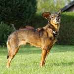 Ersteller:in Marie Profilbild