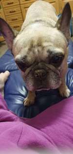 Zauber des Alters-Beitrag-Bild