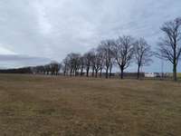 Hundeauslaufgebiet-Gut Freiham-Bild