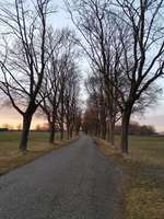 Hundeauslaufgebiet-Gut Freiham-Bild