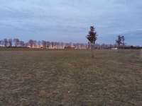 Hundeauslaufgebiet-Gut Freiham-Bild