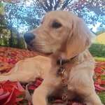 Ersteller:in Diana Profilbild