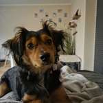 Ersteller:in Carina Profilbild