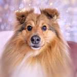 Ersteller:in Bea Profilbild