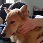 Ersteller:in Dilan Profilbild