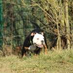 Ersteller:in stumpy Profilbild