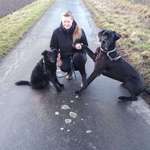 Ersteller:in Carina Profilbild