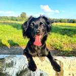 Ersteller:in Biene Profilbild