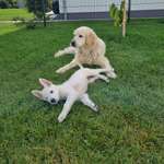 Ersteller:in Thomas Profilbild