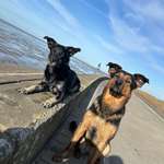 Ersteller:in Pia Profilbild