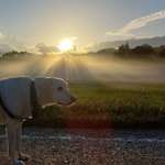 Ersteller:in Felicitas Profilbild