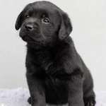 Ersteller:in Magda Profilbild