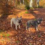 Ersteller:in Michelle Profilbild