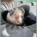 Ersteller:in Nadine Profilbild