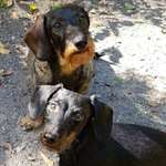 Ersteller:in Ute Profilbild