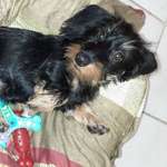 Ersteller:in Corinne Profilbild