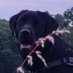 Ersteller:in Christian Profilbild