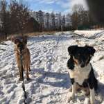 Ersteller:in Chris Profilbild