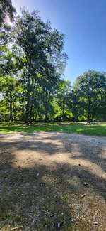 Hundeauslaufgebiet-Stadtpark Hundewiese-Bild