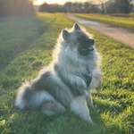 Ersteller:in Anika Profilbild