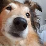 Ersteller:in Thorsten Profilbild