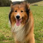 Ersteller:in Markus & Katrin Profilbild