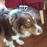 Ersteller:in Andrea Profilbild