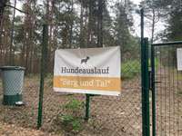 Hundeauslaufgebiet-Hundeauslauf Berg und Tal-Bild