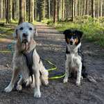 Ersteller:in Lucy Profilbild