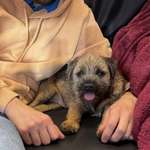 Ersteller:in Martin Andreas Profilbild