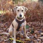 Ersteller:in Anja Profilbild