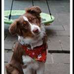 Ersteller:in Sophie Profilbild