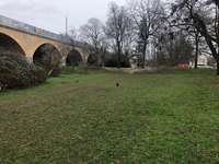 Hundeauslaufgebiet-Blochmannstraße-Bild