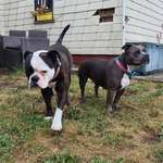 Ersteller:in Ireen Profilbild