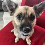 Ersteller:in Frank Profilbild