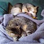 Ersteller:in Silke Profilbild