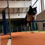 Ersteller:in Angelika Profilbild