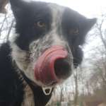 Ersteller:in Maria Profilbild