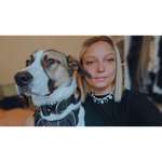 Ersteller:in Michelle Profilbild