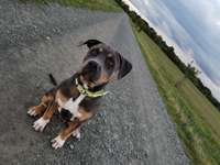 Fellnaseliebe-Beitrag-Bild