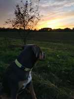 Fellnaseliebe-Beitrag-Bild