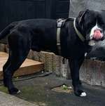 Ersteller:in Johannes Profilbild