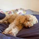 Ersteller:in Julia Profilbild