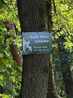 Hundeauslaufgebiet-Warwer Sand-Bild