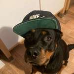 Ersteller:in Natalie Profilbild