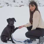 Ersteller:in Nele Profilbild